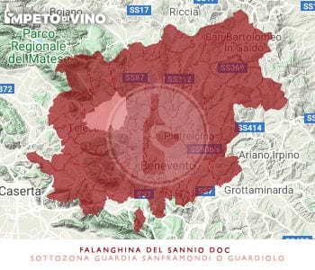 falanghina del sannio doc sottozona guardia sanframondi o guardiolo logo