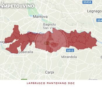 lambrusco mantovano doc logo