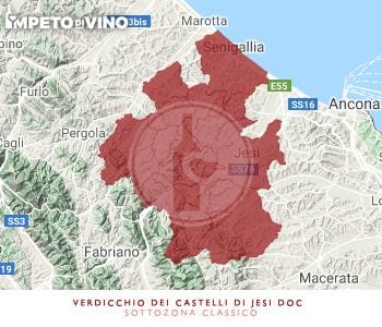 verdicchio dei castelli di jesi doc sottozona classico logo