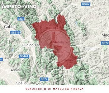 verdicchio di matelica riserva docg logo