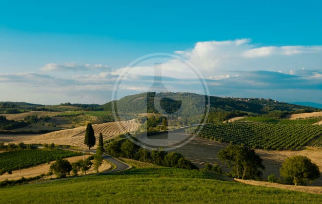 atuscanlandscapenearmontepulcianoitaly