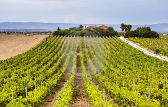 strada del vino del val di noto