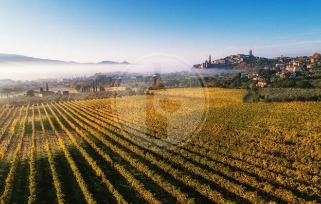 strada del vino terre di arezzo 1