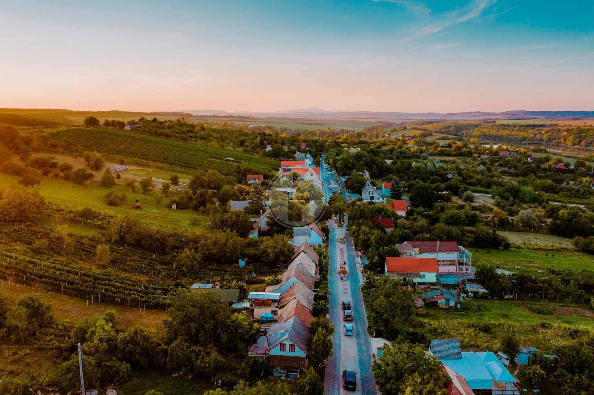 vino budapest